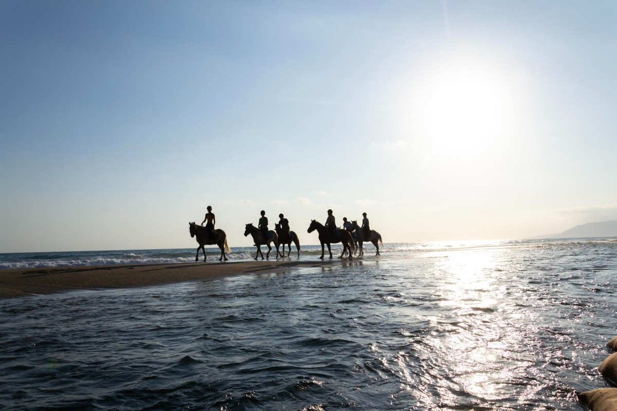 Ruiters te paard in de zee bij Katwijk aan Zee